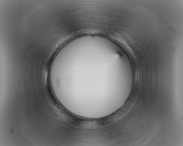 X0000115080110200911101511