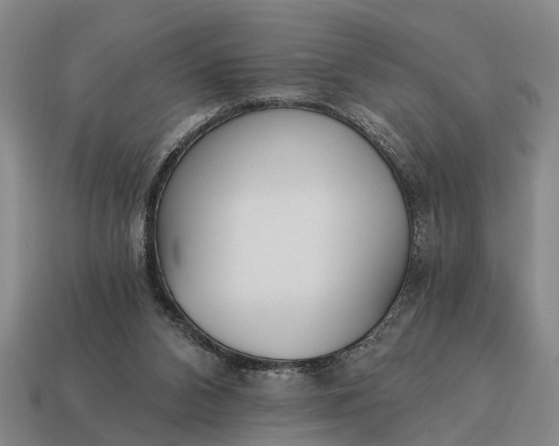 X0000115080112200911101511