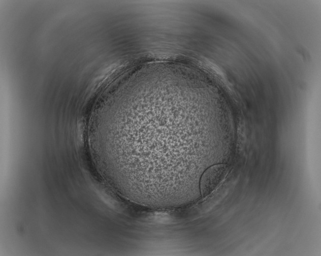 X0000115080114200911101511