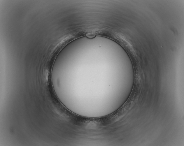 X0000115080115200911101511