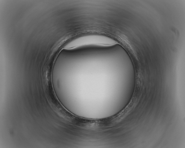 X0000115080116200911101511