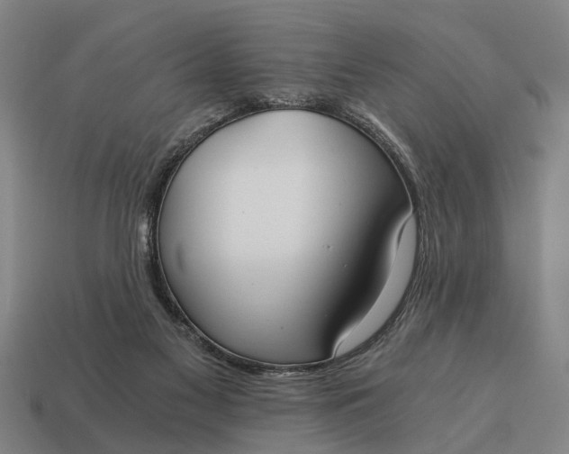 X0000115080117200911101511