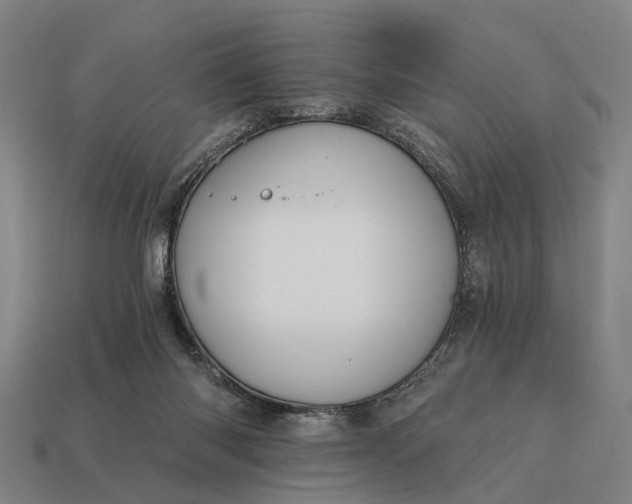 X0000115080118200911101511