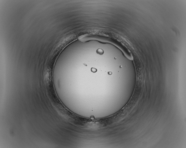 X0000115080119200911101511