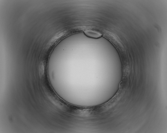 X0000115080120200911101511