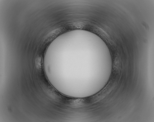 X0000115080122200911101511