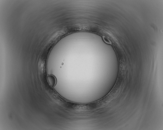 X0000115080123200911101511