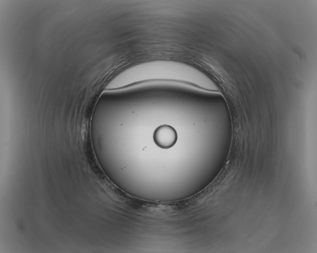X0000115080125200911101511