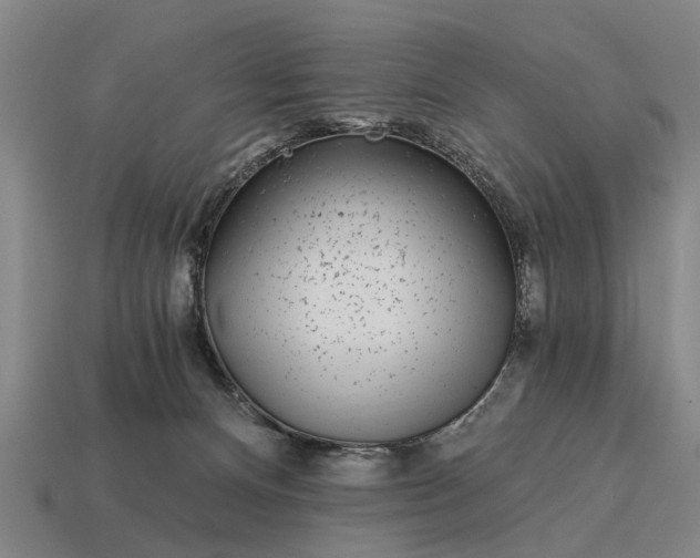 X0000115080128200911101511