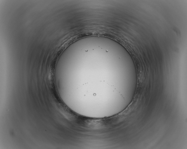 X0000115080132200911101510