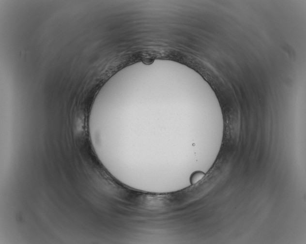 X0000115080134200911101510