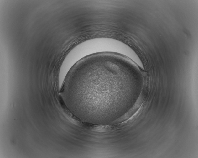 X0000115080136200911101510