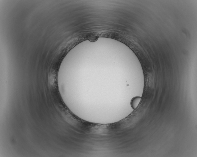 X0000115080138200911101510