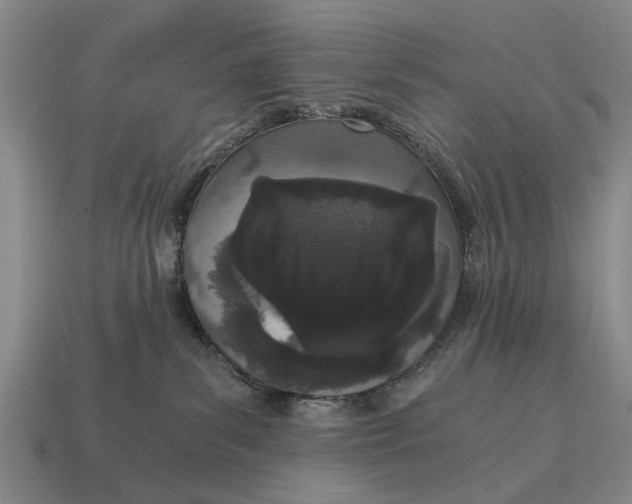 X0000115080139200911101510