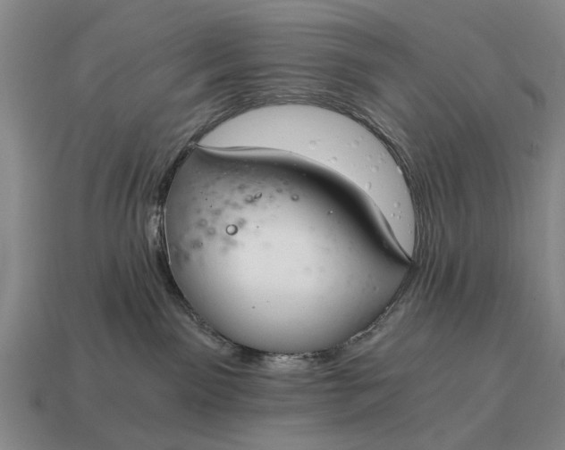 X0000115080141200911101510