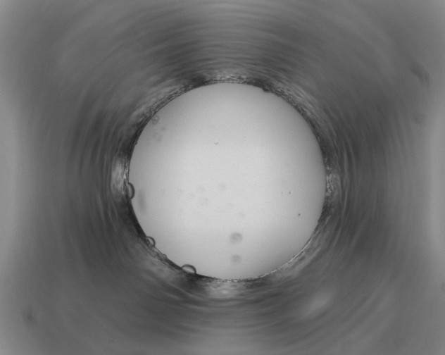 X0000115080142200911101510