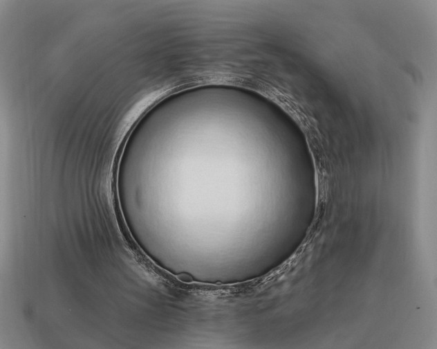 X0000115080147200911101510