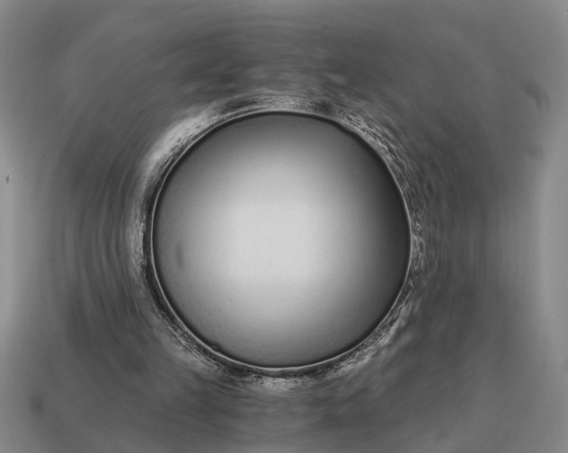 X0000115080149200911101510