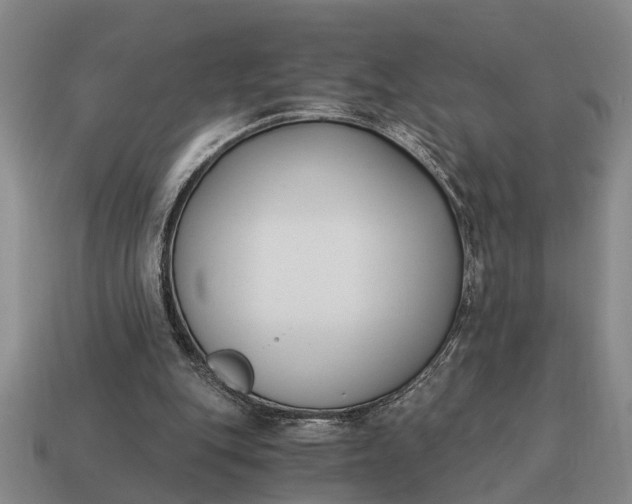 X0000115080151200911101510