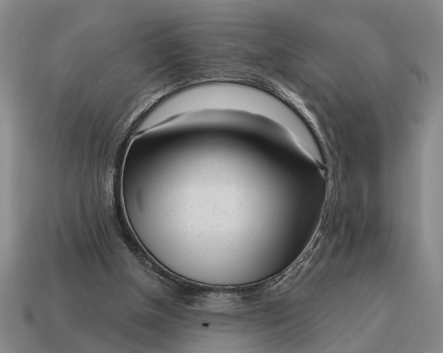 X0000115080154200911101510