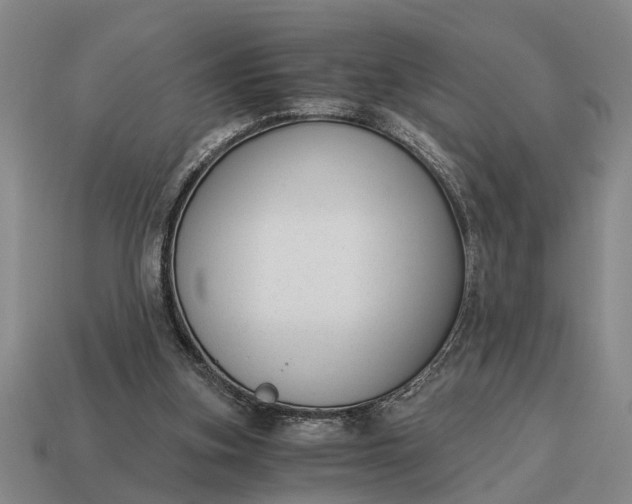 X0000115080155200911101510