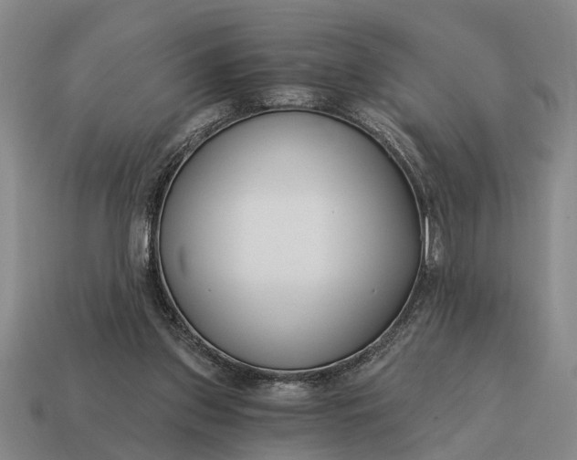 X0000115080157200911101510