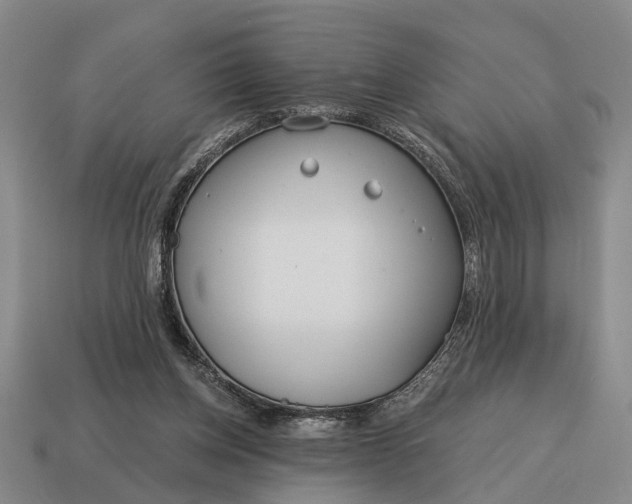 X0000115080158200911101510
