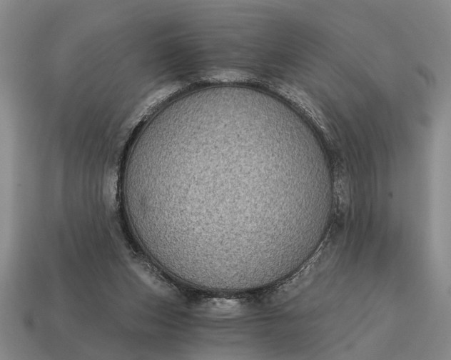 X0000115080159200911101510