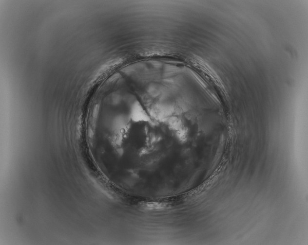 X0000115080163200911101510