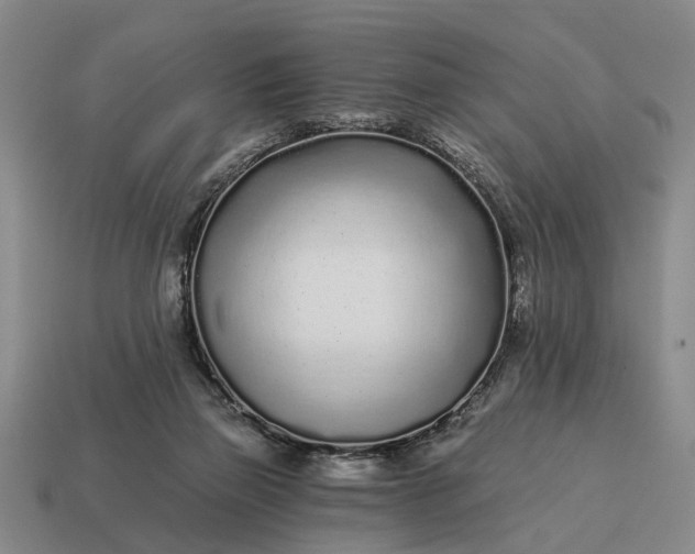 X0000115080165200911101510