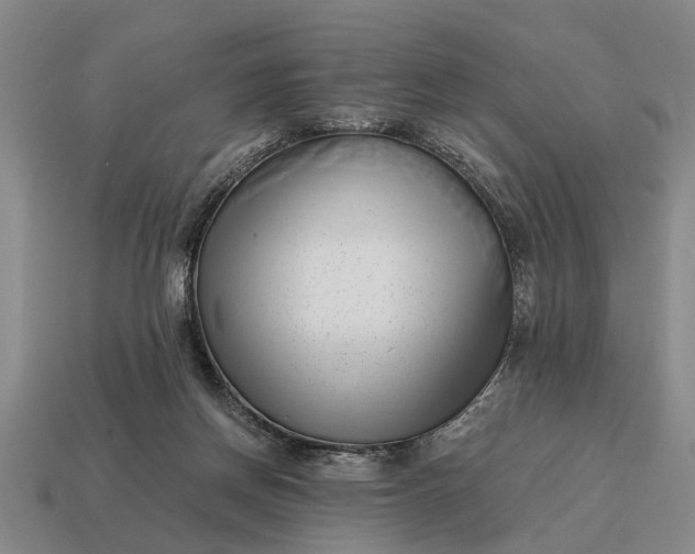 X0000115080166200911101510