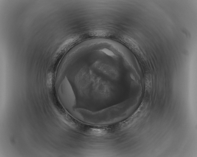 X0000115080167200911101510