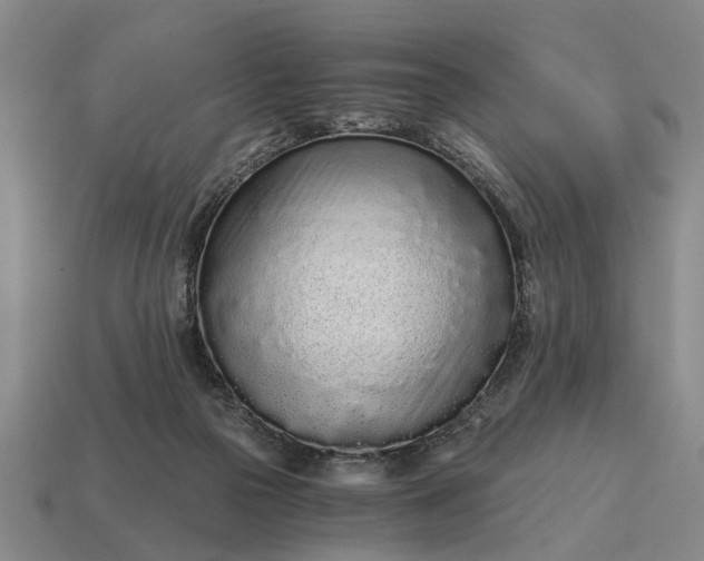X0000115080169200911101510