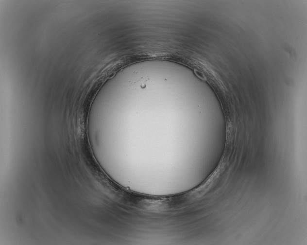 X0000115080170200911101510