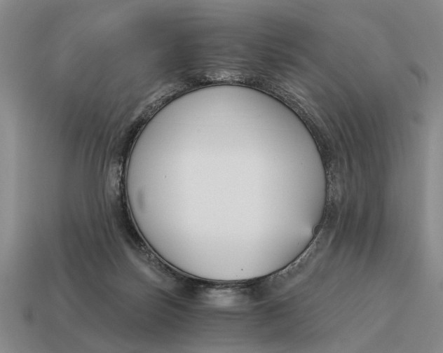 X0000115080171200911101510