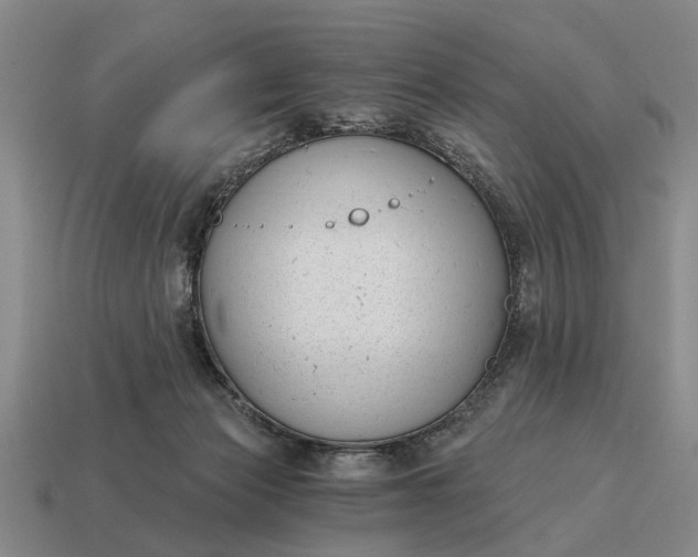 X0000115080173200911101510