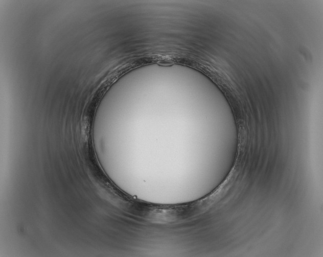 X0000115080174200911101510