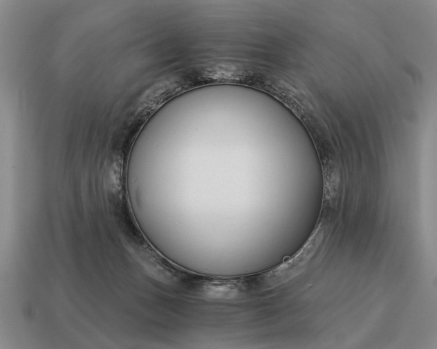 X0000115080175200911101510
