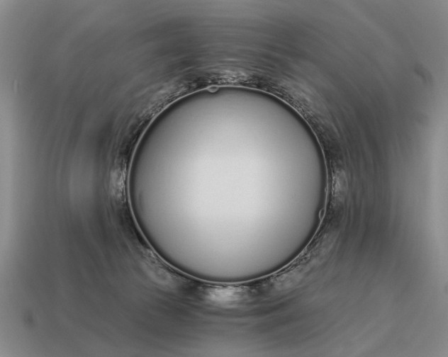 X0000115080177200911101510