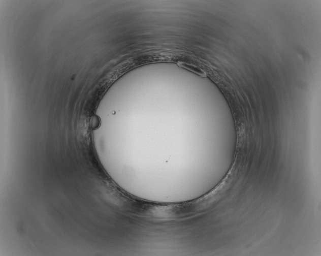 X0000115080178200911101510