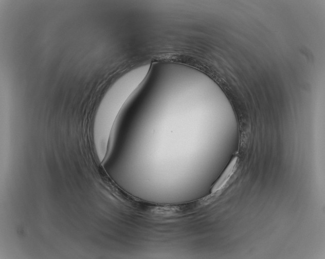 X0000115080179200911101510
