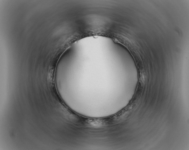 X0000115080181200911101510