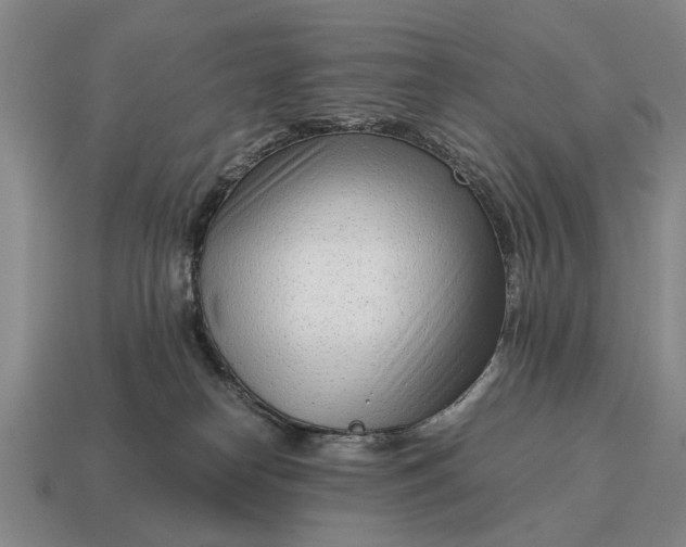 X0000115080182200911101510