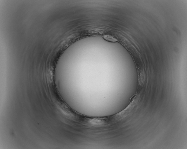 X0000115080183200911101510