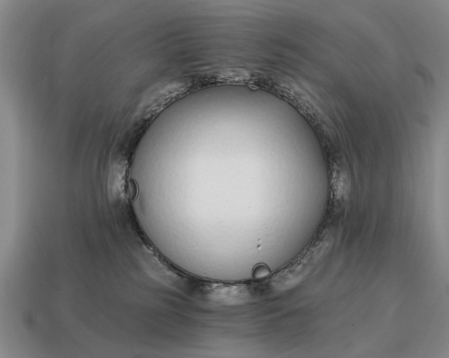 X0000115080185200911101510