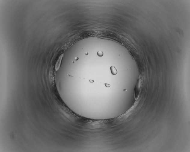 X0000115080186200911101510