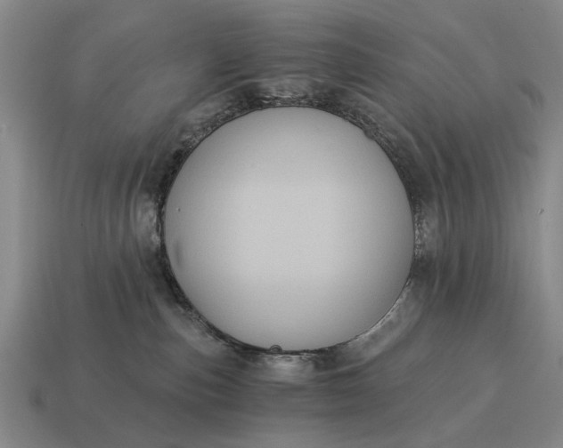 X0000115080187200911101510