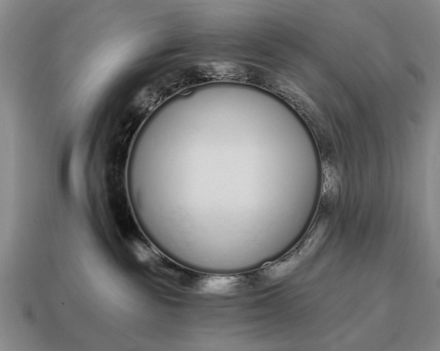 X0000115080189200911101510