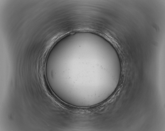 X0000115080193200911101510