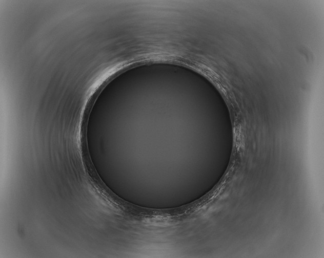 X0000115080196200911101510